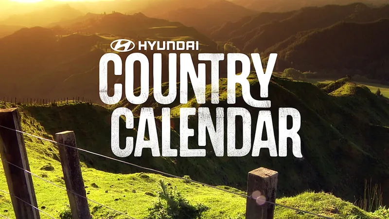 CountryCalendar