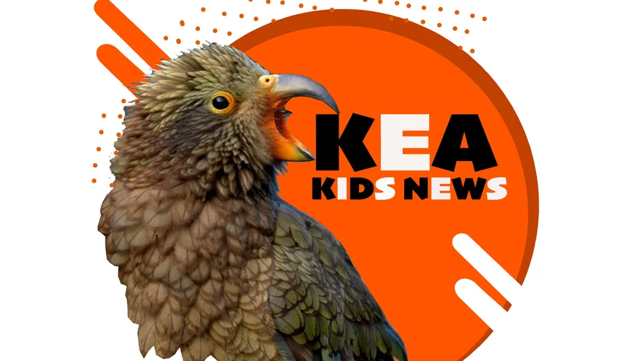 Kea Kids News